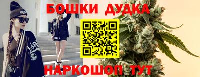 тгк Новокубанск
