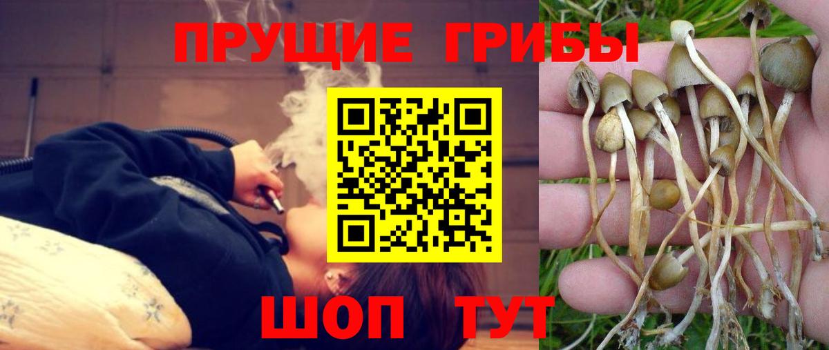 Урюпинск  Галлюциногенные грибы MAGIC MUSHROOMS  Вход с VPN  Псилоцибиновые грибы MAGIC MUSHROOMS 